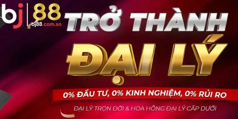 Những đãi ngộ hấp dẫn không nên bỏ lỡ